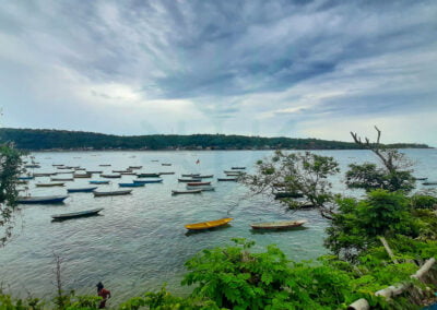 About eucheuma cottonii 11