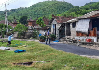 About eucheuma cottonii 5