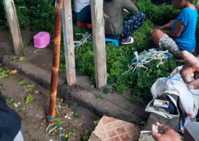 About eucheuma cottonii 8