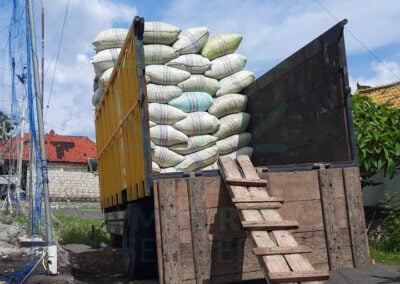 About macro seaweed stuffing 2