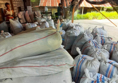 About ulva seaweed shipment 4